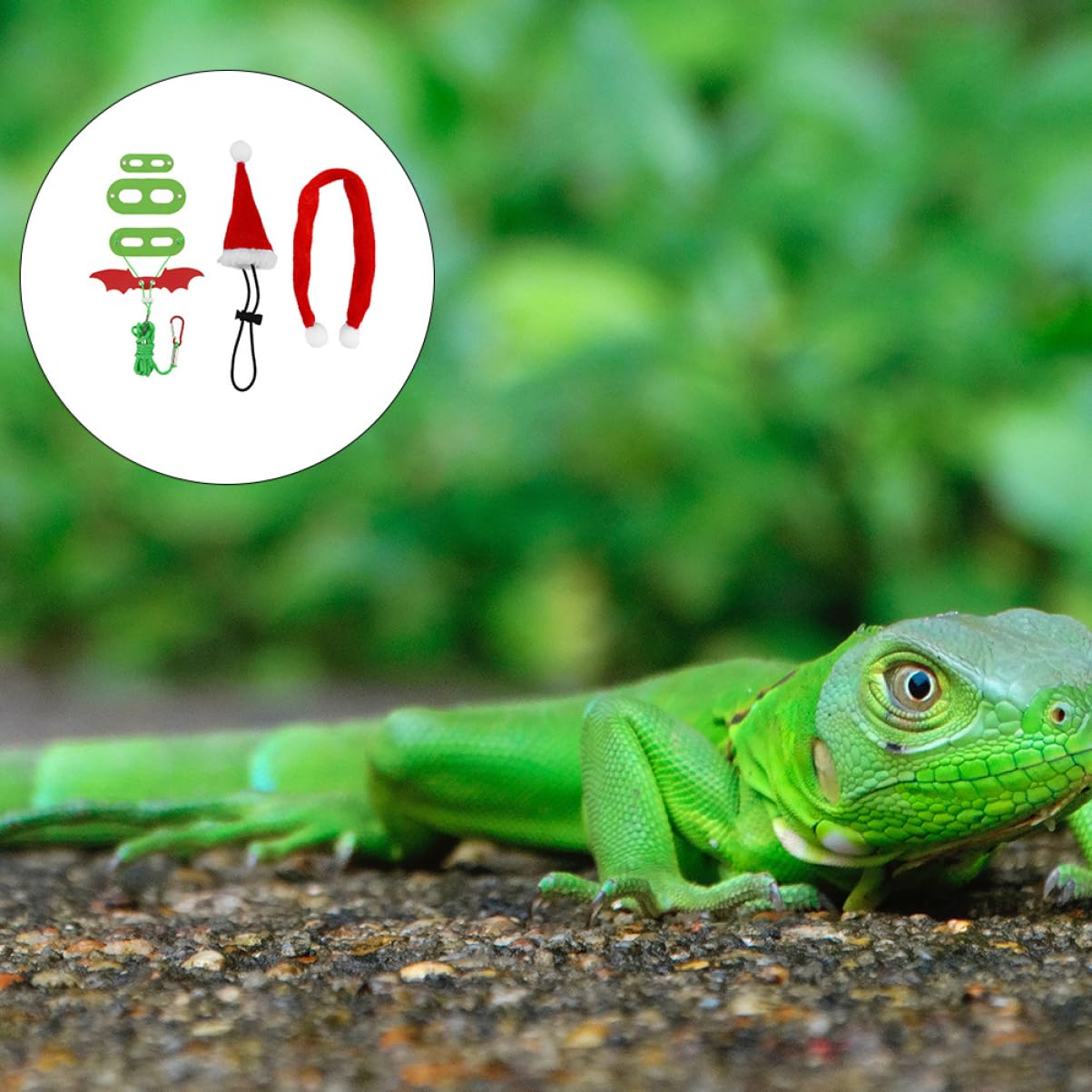 VANZACK Climbing Pet Leash Set Lizard Harness Reptile Harness Bearded Dragon Leash Decorative Hat