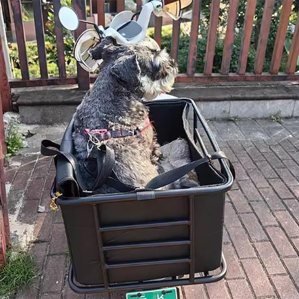 Dog Bike Basket for Rear Rack – Heavy-Duty Pet Bike Carrier with Liner, Safety Leash & Hardware – Bicycle/E-Bike/Moped Dog Seat for Small Dogs & Cats, Quick Install