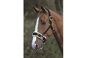 Shires Fleece Lined Lunge Cavesson (Pony, Black)