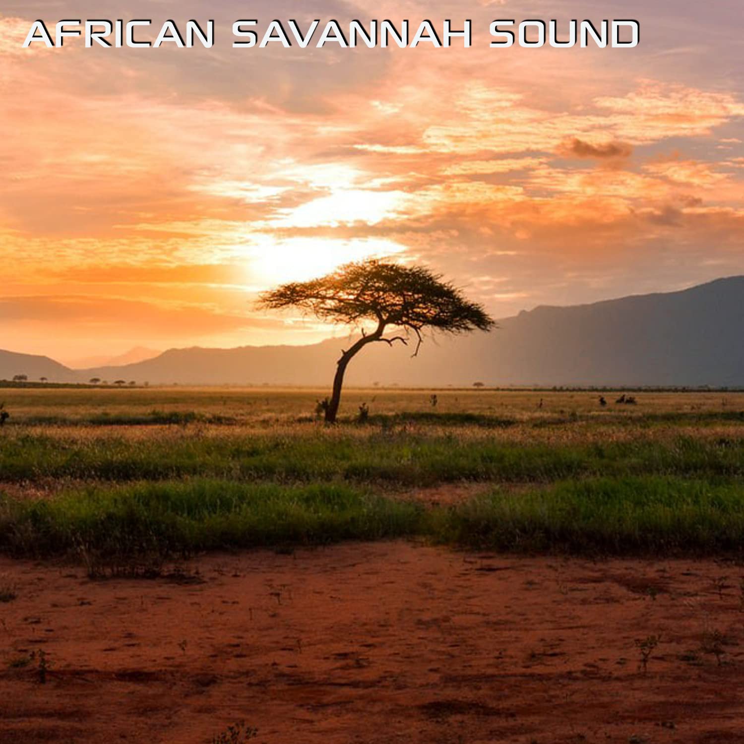 Discovery Africa Soundscapes