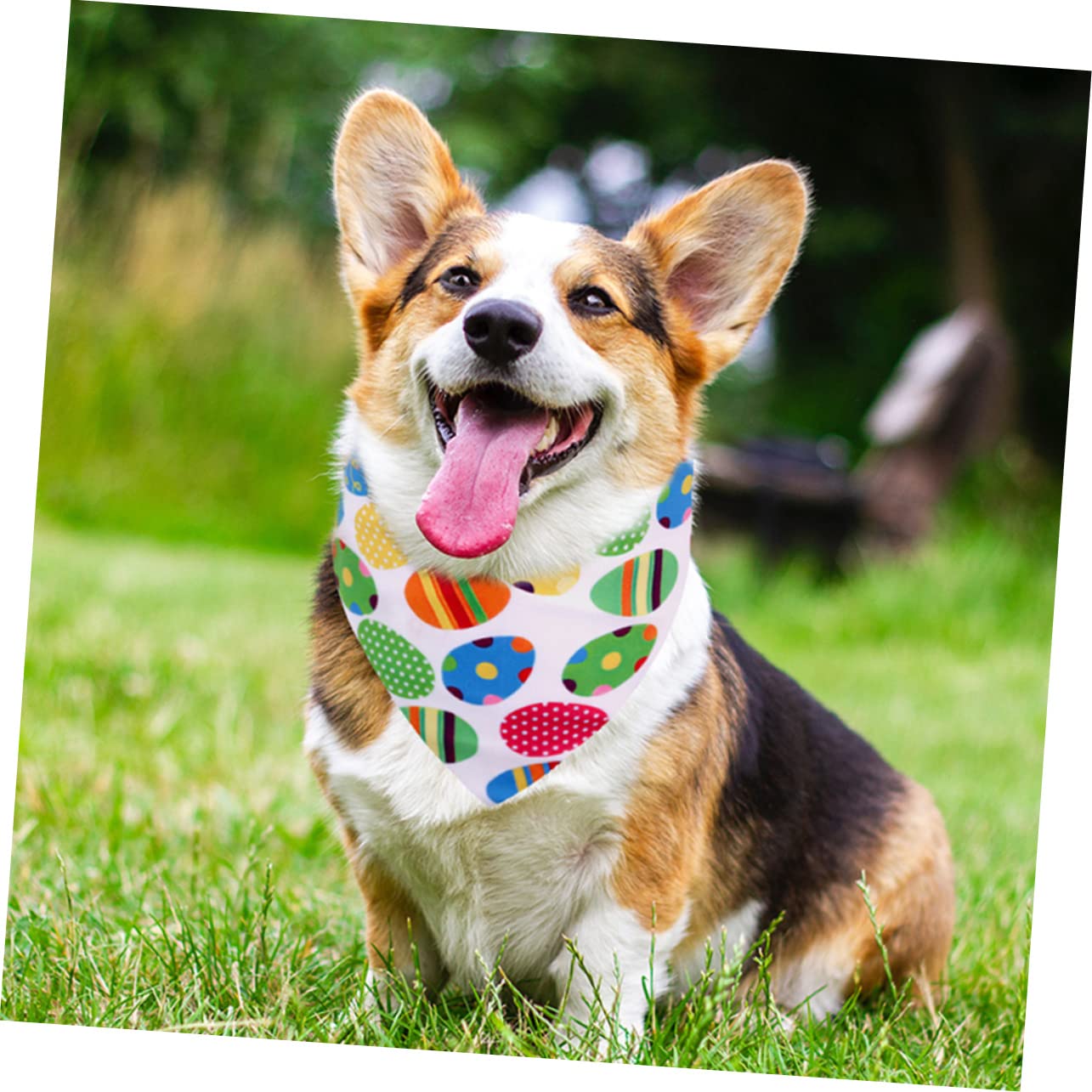 INOOMP 15pièces Bandanas pour Chiens Et Chats Écharpes Colorées Et Respirantes pour Animaux De Compagnie Accessoires Adorables pour Pâques