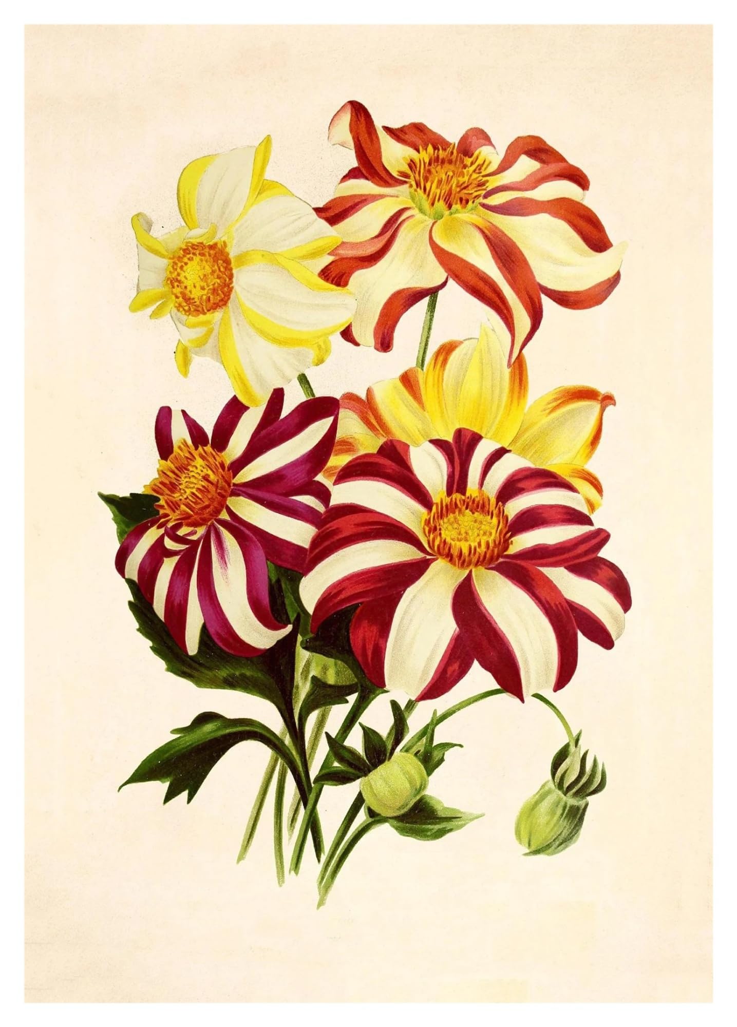 Tableau décoration murale moderne bouquet de plantes classiques sur toile premium de 50x70cm