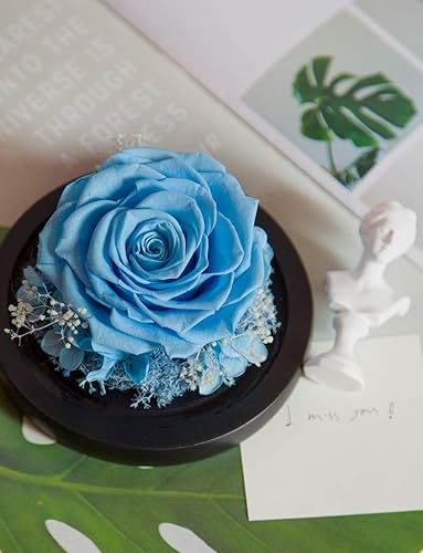 Miniatura 4 de DuHouse Forever Roses - Caja de flores reales preservadas, para regalo de San Valentín, cumpleaños, aniversario, Navidad (azul cielo)