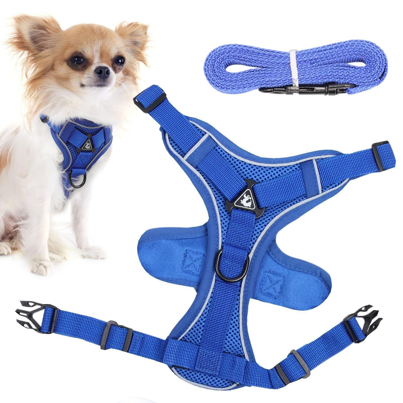 Pettorina Per Gatto Gilet In Mesh Traspirante Antifuga Regolabile Con | Guinzaglio Robusto Per Outdoor Passeggiate Avventura Quotidiana