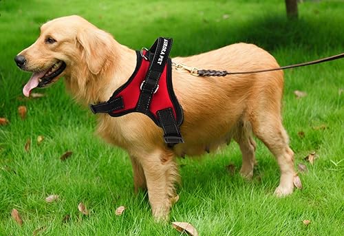 Miniatura 5 de Aurora Pet Arnés para perro, arnés ajustable para mascotas, chaleco reflectante 3M, asa de fácil control y dos accesorios para correa para perros