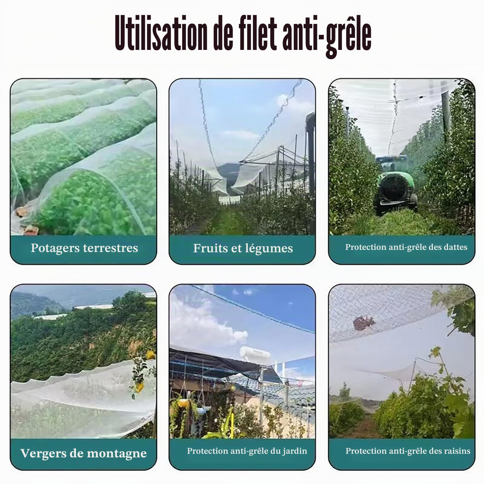 Anti-Grêle Anti-Oiseau Filet, Filet de Protection Contre Légumes, Maille de 5 MM(6M x 6 M)