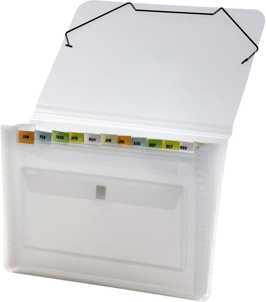 Lion ClearLine 13Pocket Poly Expanding File, Clear, 1