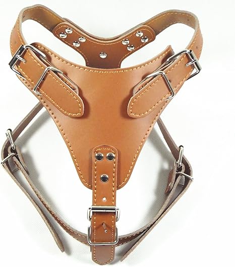 pitbull harness amazon