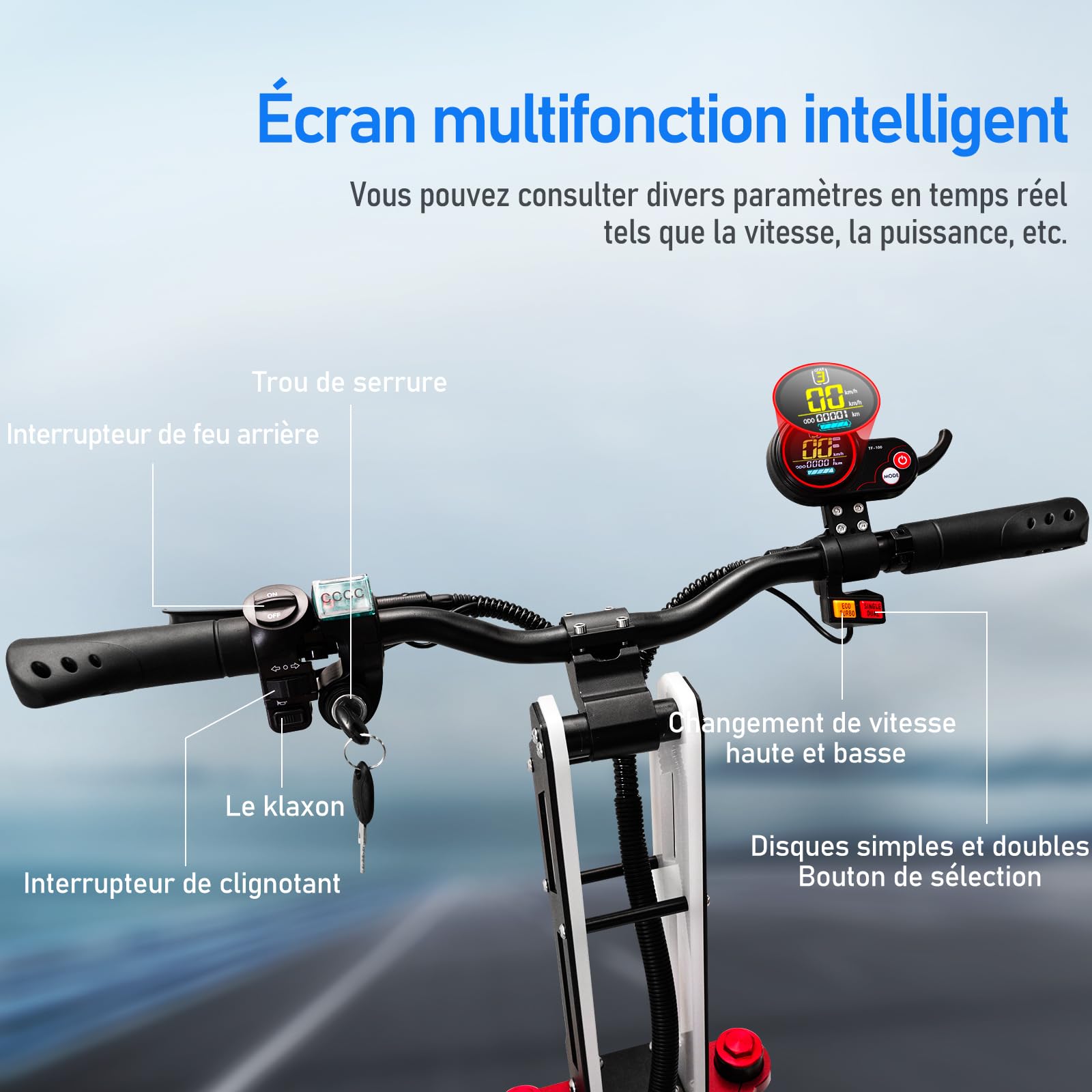 Scooter électrique Adulte Lohang, Double Moteurs, Batterie au Lithium 60V 38AH, autonomie de 100 km, pneus 12 Pouces, Suspension complète, Scooter électrique Rapide, Charge maximale 250 kg.