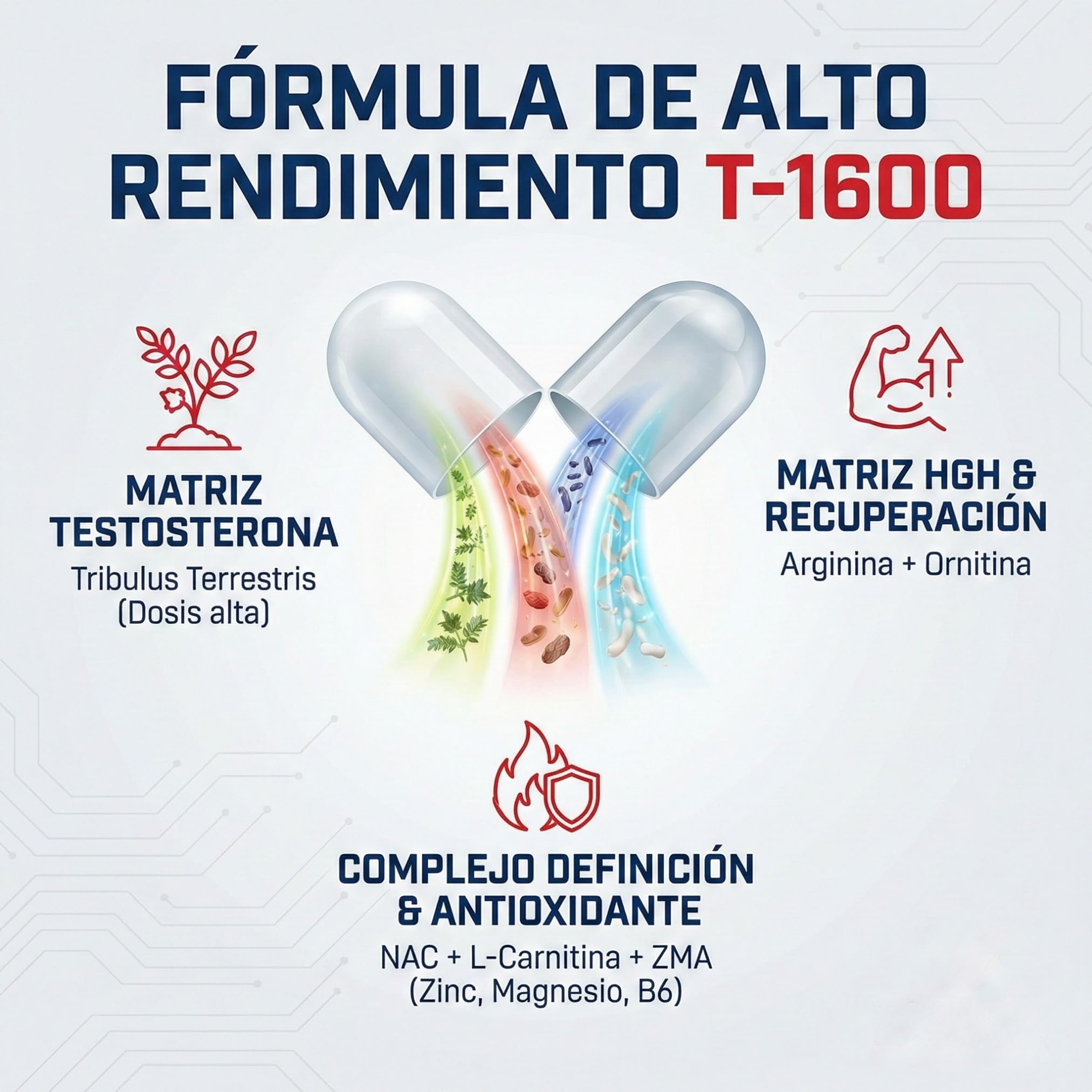 Fortia Tribulus T-1600 | Testosterona Natural y Rendimiento Masculino | Tribulus Terrestris + Arginina + NAC | Energía, Fuerza y Recuperación | 120 Cápsulas