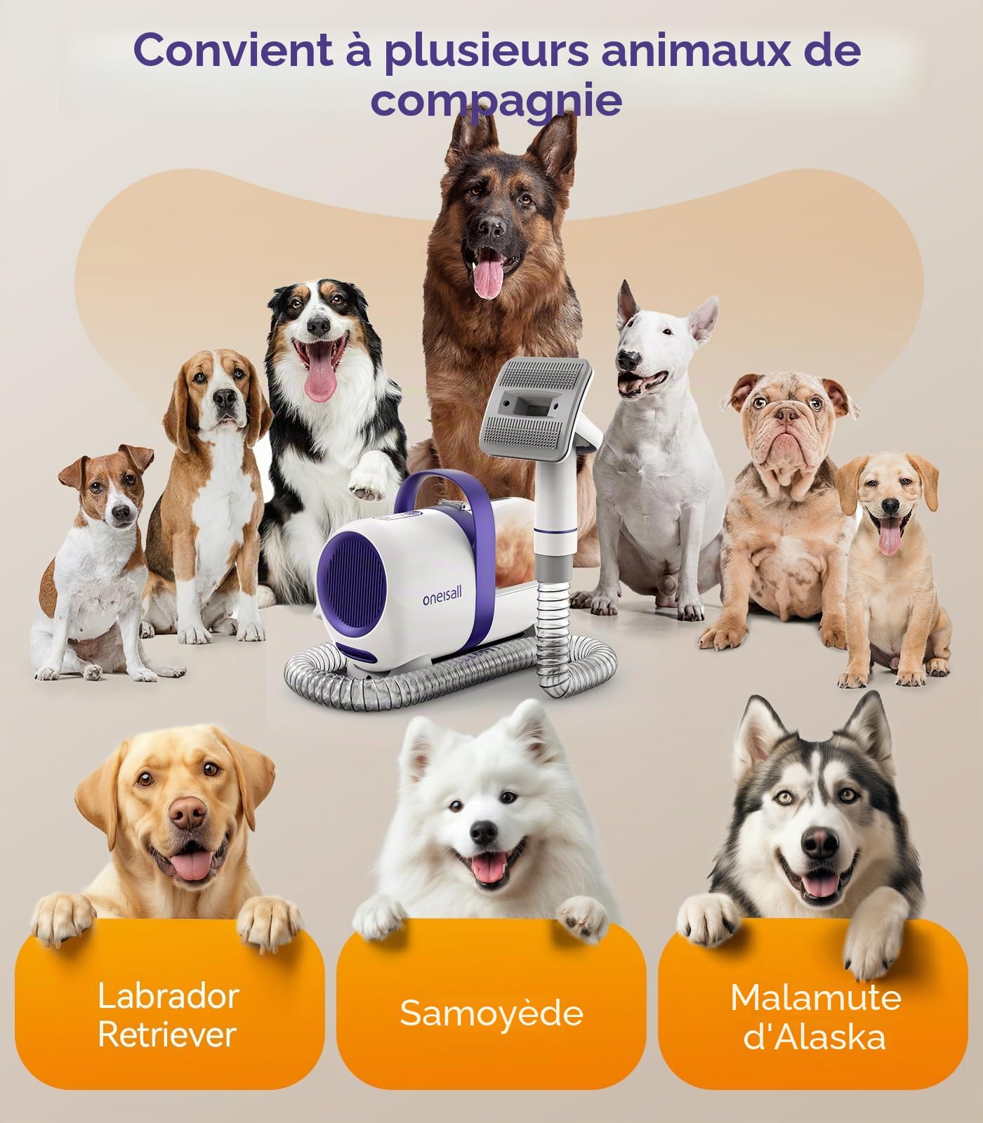 oneisall Aspirateur pour chiens avec brosse,Puissance d'aspiration élevée Brosse pour chiens aspirateur avec 12000 Pa,Aspire 99.99% des poils d'animaux (1,5L) avec 4 accessoires d'entretien(Pourpre)