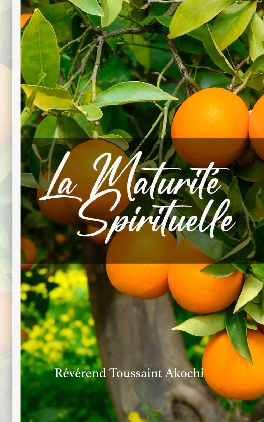 La maturité Spirituelle