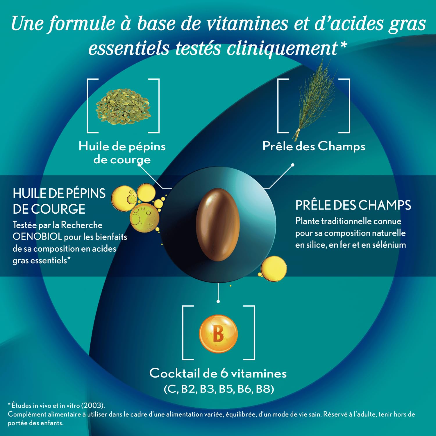OENOBIOL HAIR EXPERT Chute de Cheveux - Nouvelle formule concentrée - Favorise la croissance - Préserve la densité des cheveux -Complément alimentaire 2x60 capsules-Programme 2 mois