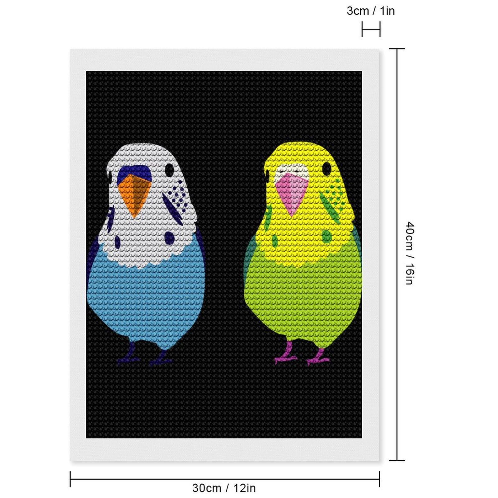 鳥さんのダイヤモンドアート Amazon | ダイヤモンドアート セキセイインコ 二匹 鳥柄