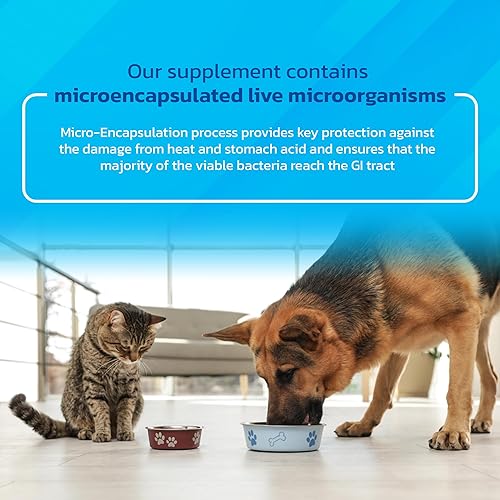 Miniatura 5 de Probióticos para perros y gatos - Polvo de enzimas y prebióticos para mascotas formulado por veterinarios para la salud digestiva, intestinal e