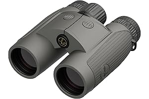 Leupold BX-4 Range HD TBR/W 10x42mm Range-Finding Binoculars