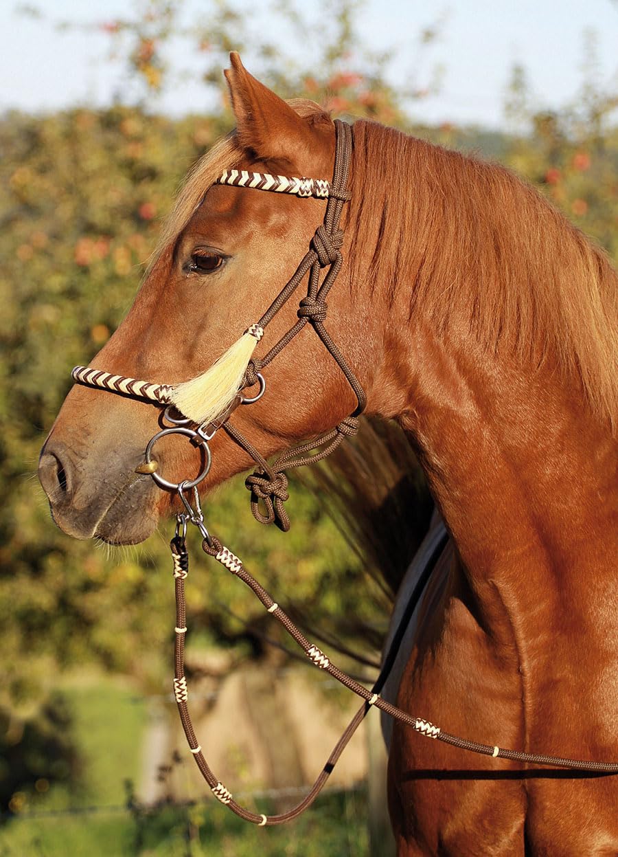 Barefoot Seneca REIT-Halfter 3‑in‑1 – Knoten-Kopfstück als Halfter, gebisslose Zäumung oder mit Gebiss erweiterbar – mit Rohhaut-Verzierung und echter Horse-Hair-Tassel – Größe COB