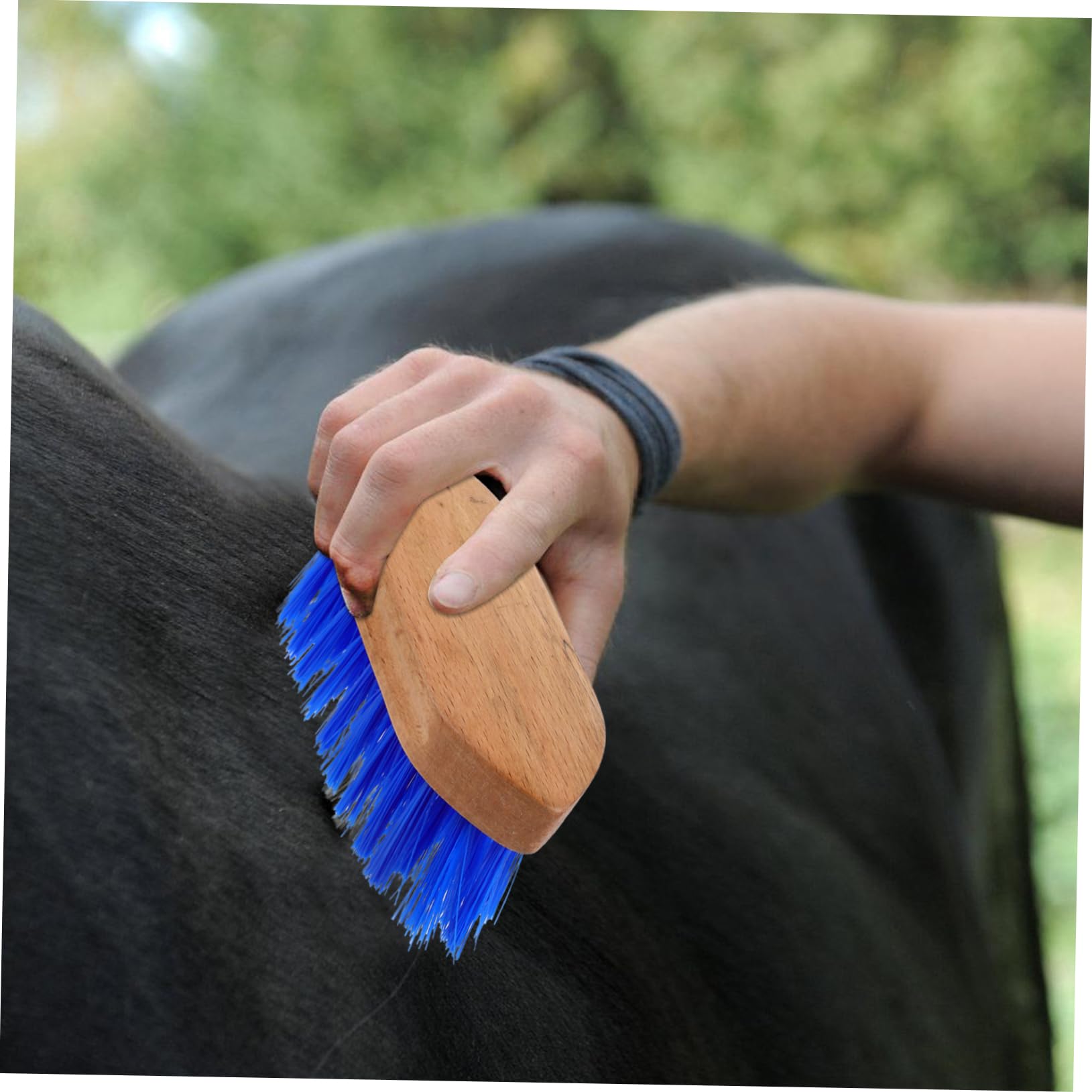 BESPORTBLE 5 Piezas cepillo de caballo cerda cepillo de aseo para caballos raspador de sudor para ganado depilación mascota cepillo de pelo práctico cepillo para caballos de madera Blue
