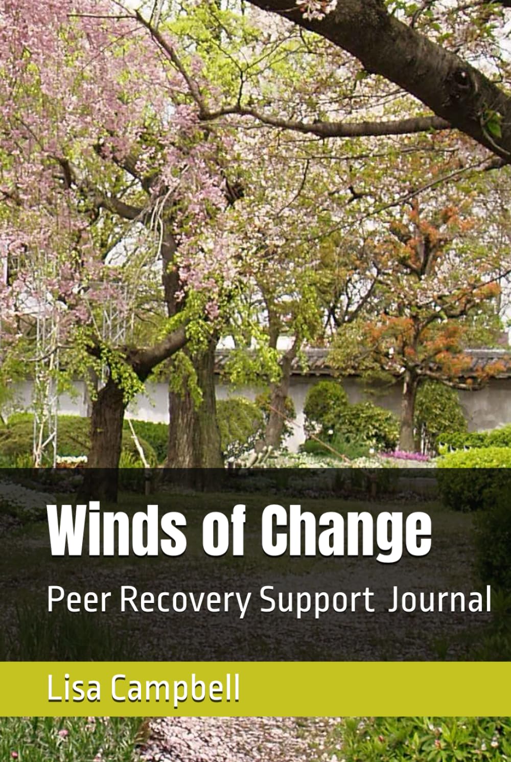Peer Recovery Journal      Hardcover – May 24, 2025