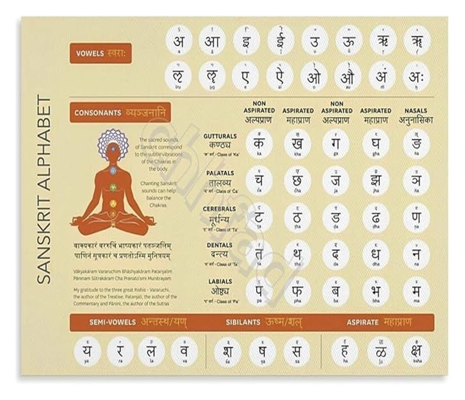 SSOPTMCB Sanskrit Alphabet Educational Poster Devanagari Script Chart for World Cultures Classroom and Yoga Studio(Framed,16x24inch(40x60cm))
