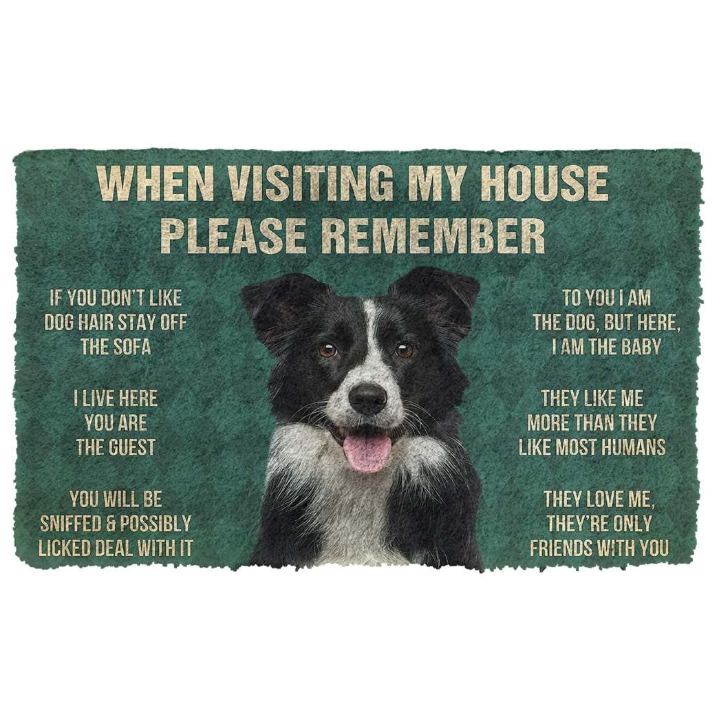 Green Na Door Mat Indoor Doormat Please Remember Border Collies House Rules Custom Doormat Thousewarming Gifts Home Decor
