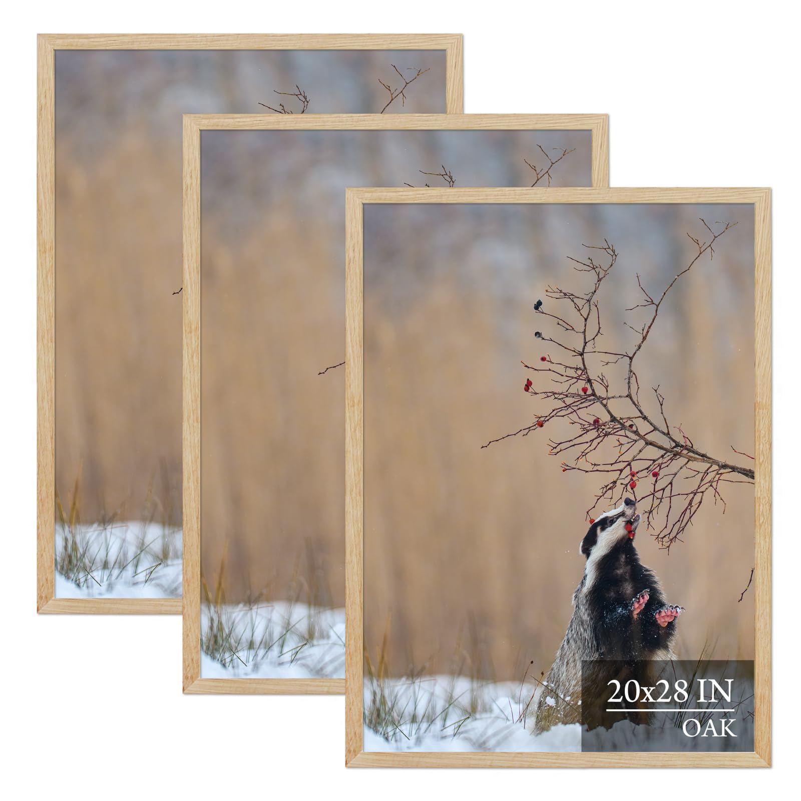 Amazon.com - ARTWIND 20x28 Oak Wood Poster Frame 3 Pack, Natural