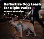 Voyager Reflective Dog Leash with Neoprene Handle, 5ft Long, Supports Small, Medium, and Large Breed Puppies, Cute and Heavy Duty for Walking, Running, and Training - Baby Blue (Leash), M