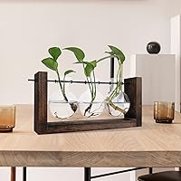 Vista 5 de Terrario para plantas con soporte de madera, jarrón de propagación de mesa, macetas hidropónicas de vidrio, maceta de aire, florero de vidrio