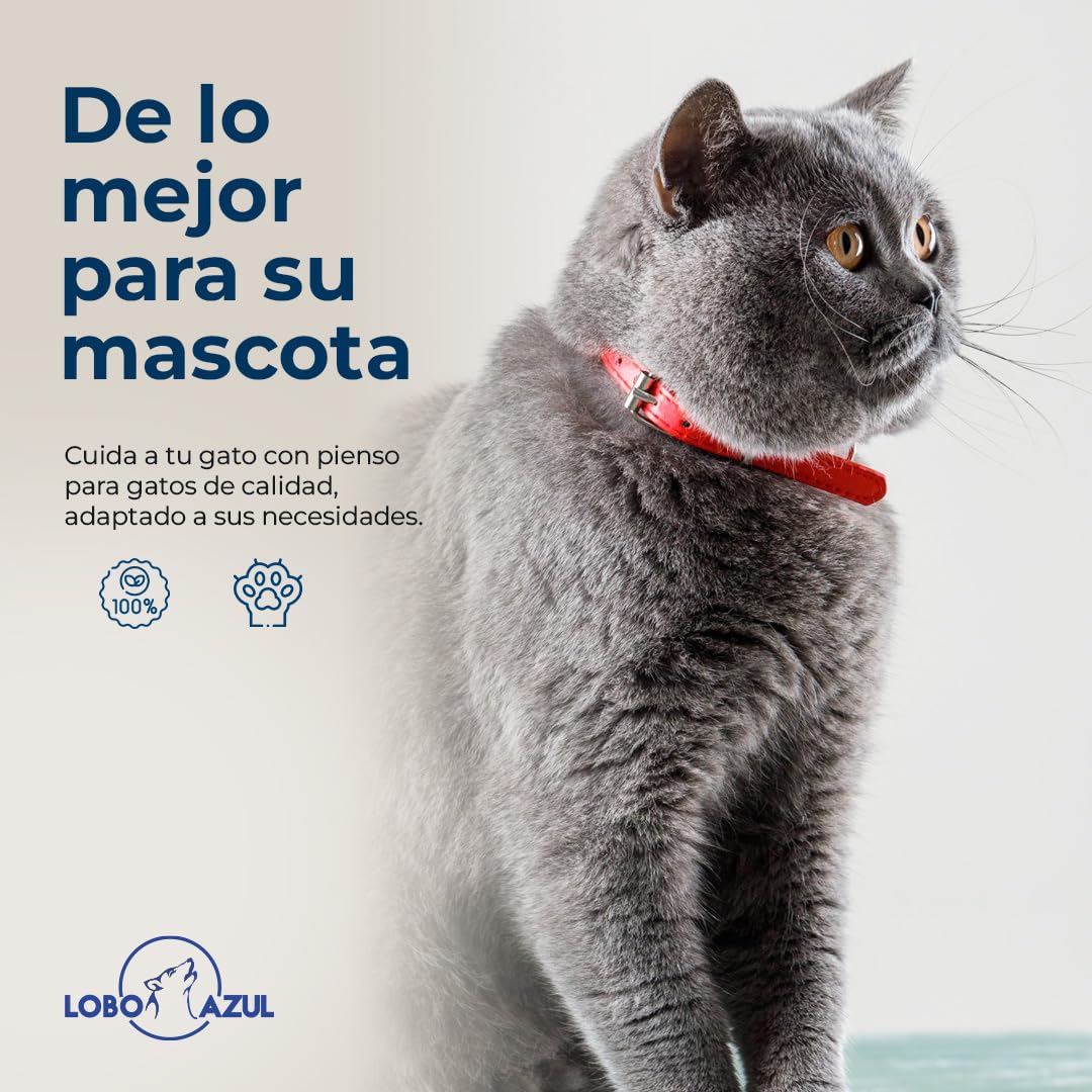 Cat Sterilized - Gatos Esterilizados - 100% Natural con - Buey, Pollo, Arroz Integral y Aceite de Salmón. Ideal para Control Peso, Gatos Sedentarios, Sobrepeso - Lobo Azul Super Premium