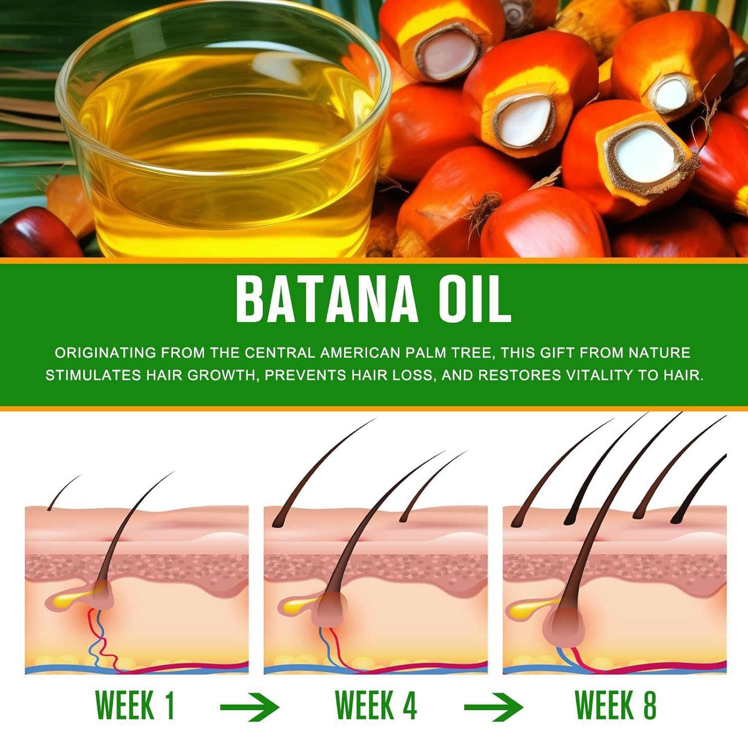 Batana Oil for Hair Growth & Skin Care, 100% Pure & Natural Batana Oil, Prevents Hair Loss, Repairs Damaged Hair & Skin - Image 3