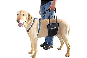 Dog Rear Support Sling Harness