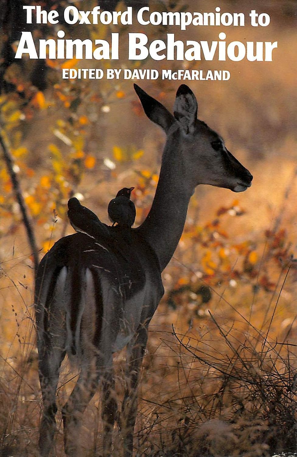 Amazon Oxford Companion to Animal Behaviour McFarland, David