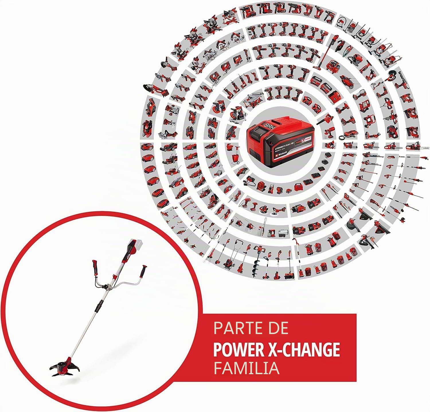 Einhell desbrozadora inalámbrica Agillo - 36/255 BL PXC. 2 x 18 V, sin escobillas, Control electrónico de Velocidad, Hoja de 3 Dientes, Sistema de Bloqueo del Eje, sin batería y Cargador