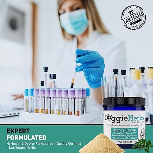 Miniatura 6 de Apoyo orgánico del riñón y salud renal - Polvo de Rehmannia y Cordyceps - Tónico formulado por médicos TCM para la salud de la vejiga, la