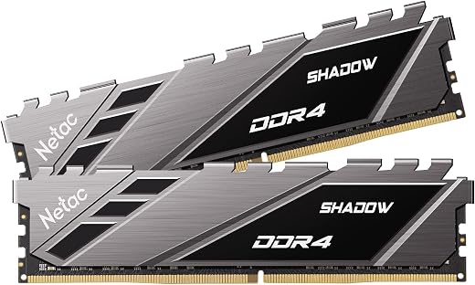 Netac DDR4 3200MHz DRAM 16GB 2x8GB(Pc4-25600) XMP 1.35V Kit Di Memoria Gaming Kit per Computer Fissi CL16 Grigio