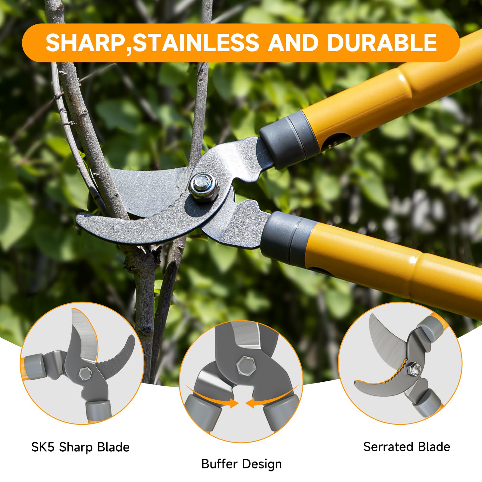 AIRAJ Coupe-Branche Télescopiques 42-61cm, Coupe-Branche à Lames Tranchantes, Poignées Extensibles Avec Revêtement de Protection, Elagueurs de Jardin Pour Couper Les Branches Sèches et Mouillées