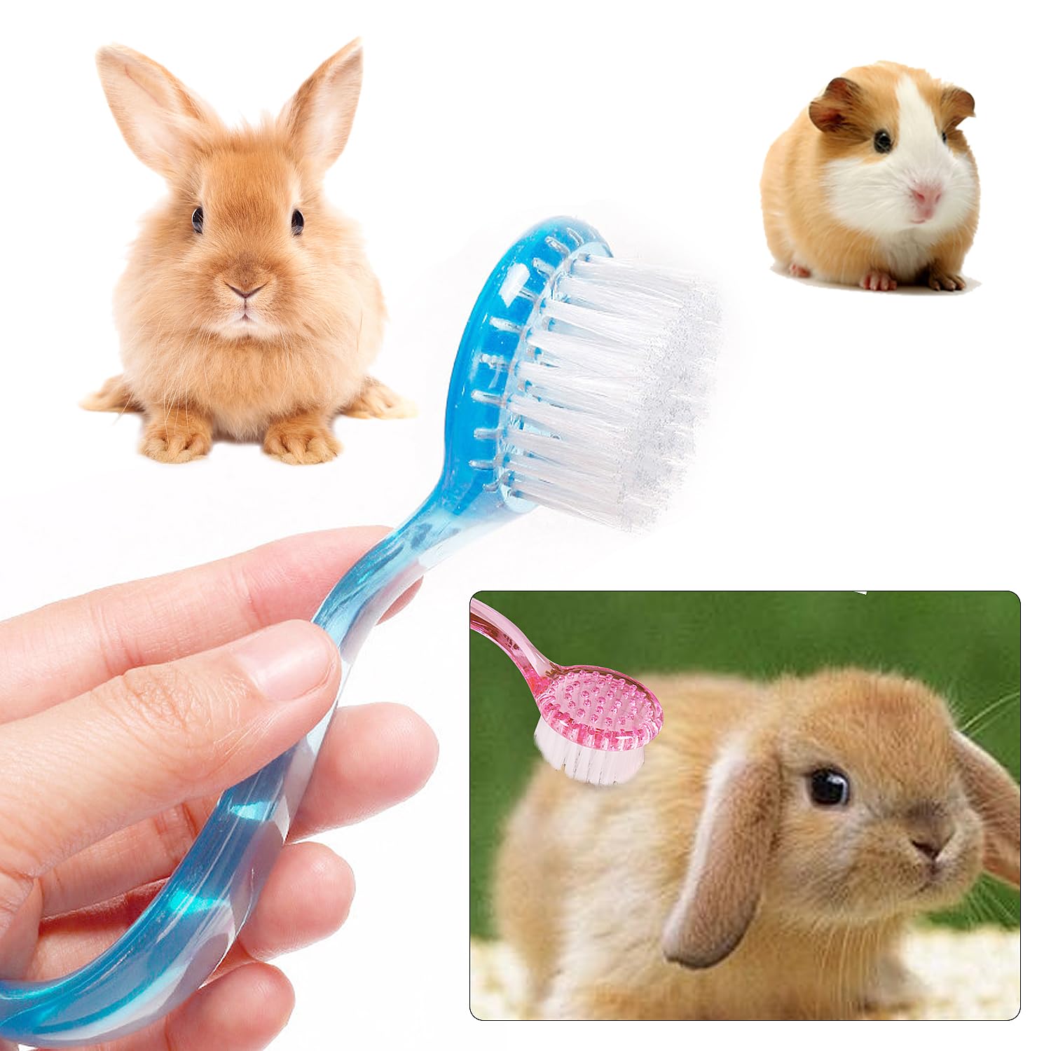 HAICN 2Pcs Pet Hair Comb Small Dogs Cat Cleaning Comb Pet Grooming Comb Eliminate Tomentose Undercoat Tangles for Long and Short Haired Pet - Image 4