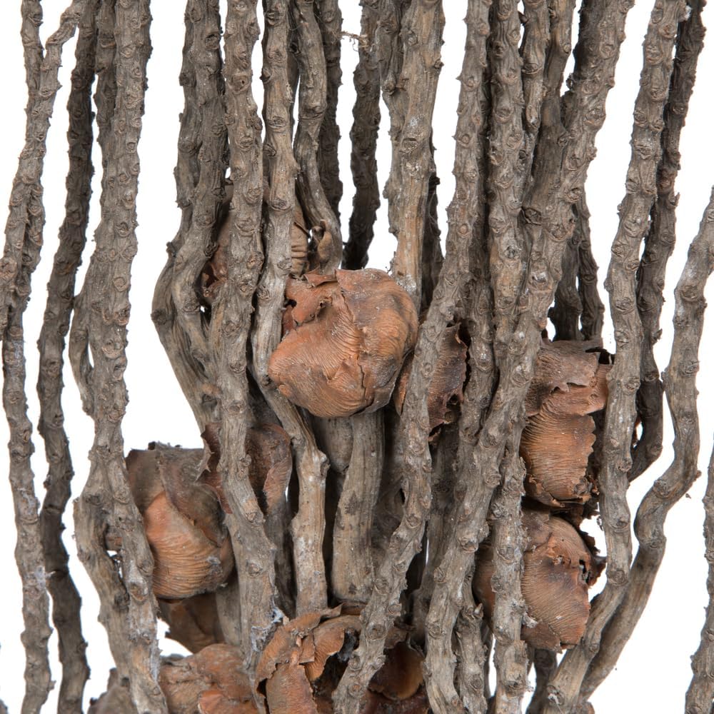 Vickerman Natural Botanicals 32" Coco Jhar, Natural. Includes 10 Pieces per Pack.