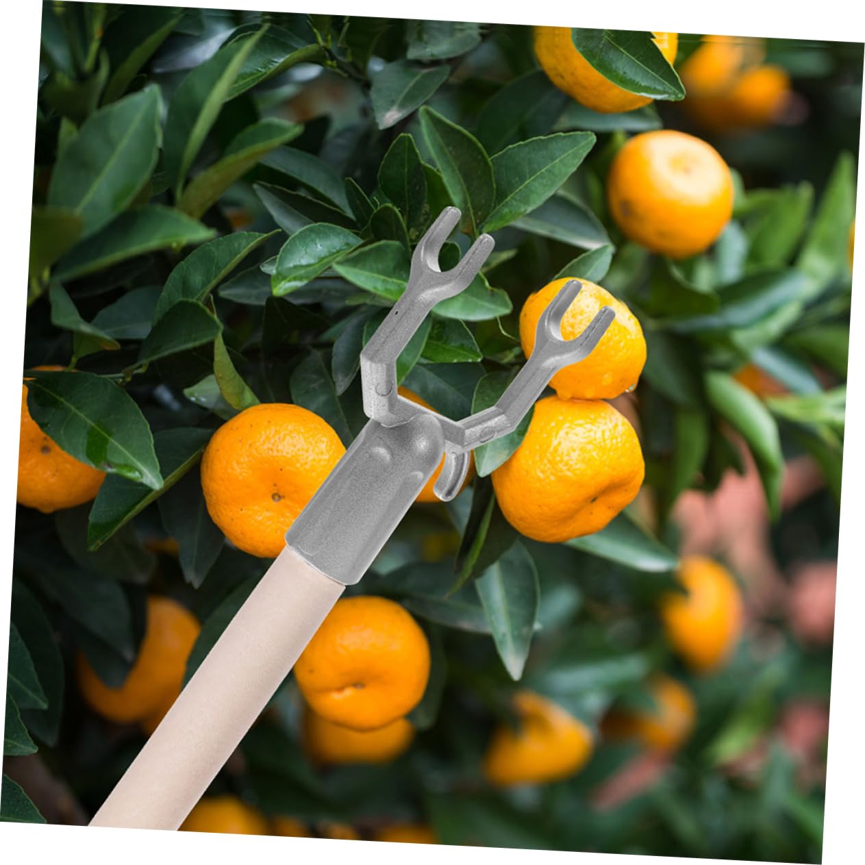 45stücke Zweigstützen Für Obstbäume Langlebige Und Wetterfeste Pflanzenstützen Unterstützung Von Gartenpflanzen Und Früchten Für Innen Und Außenanwendungen