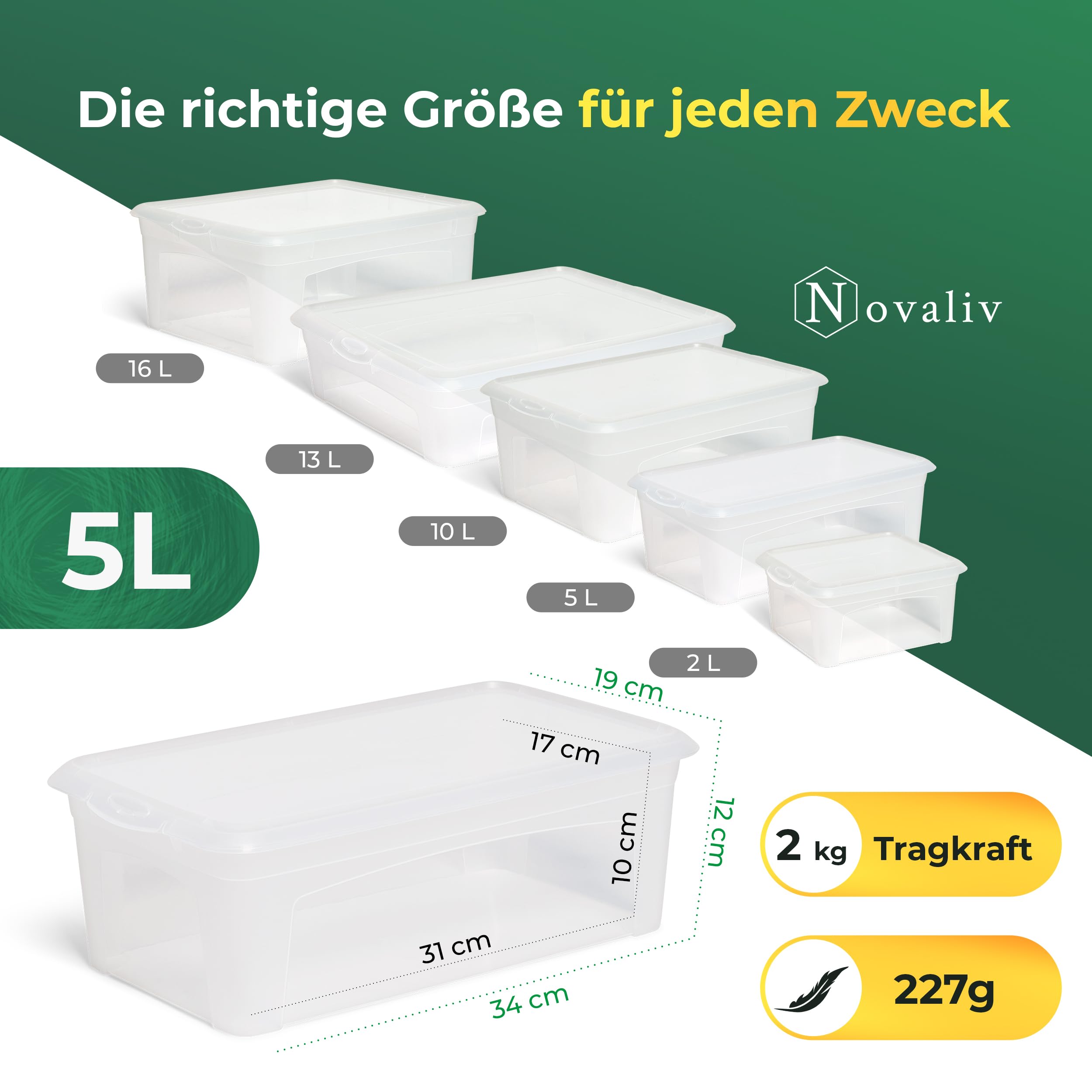Novaliv 24 Cajas de Almacenaje con Tapa, 5 L, Transparentes, Apilables, con Cierre de Clip, Plástico, sin BPA, 34 x 19 x 11 cm