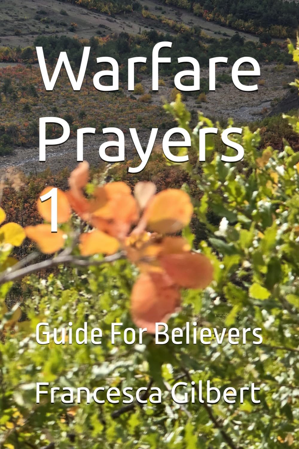 Warfare Prayers 1: Guide For Believers