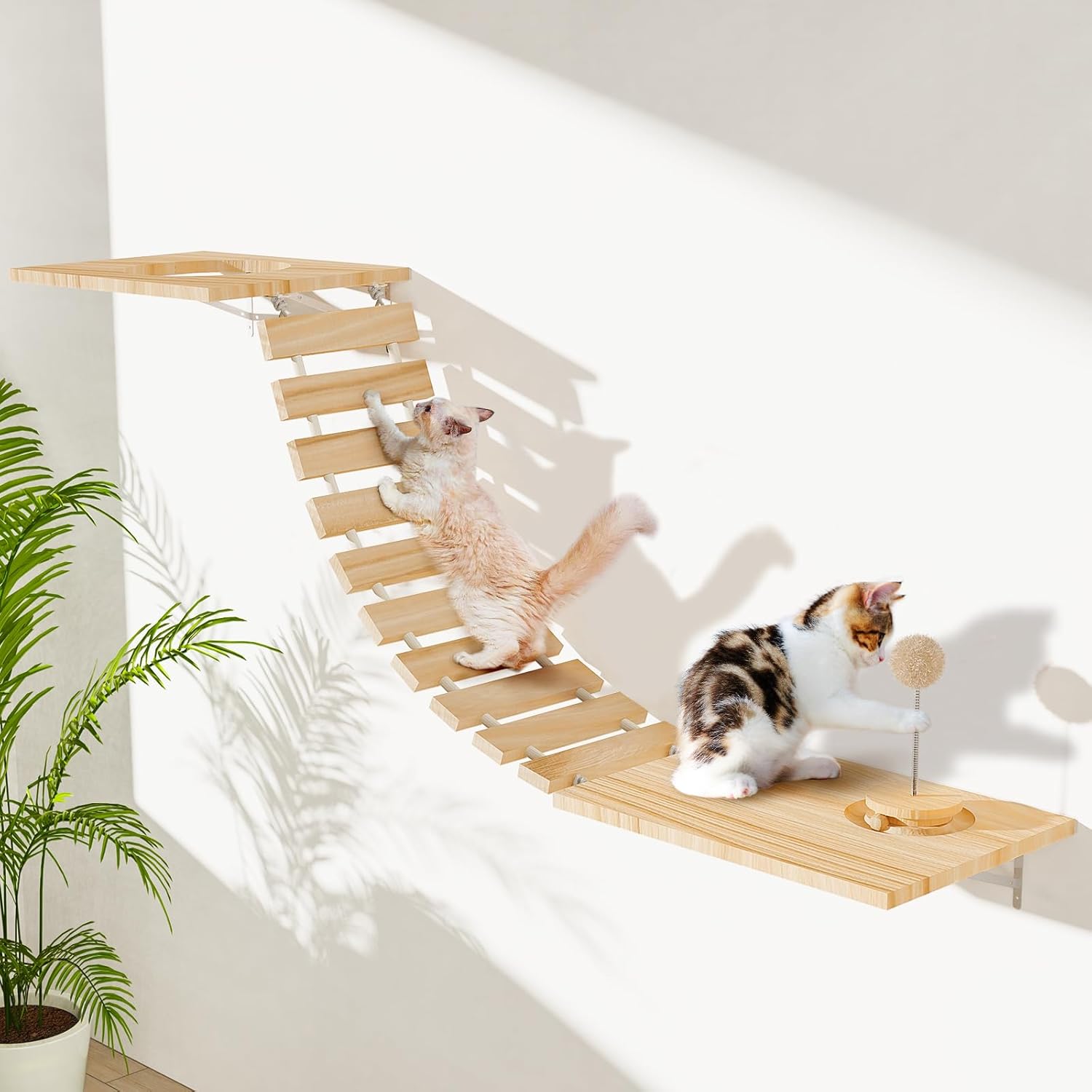 Cat Wall Hammock, Wall Mounted Bridge with Track Toy Ball & 3 Hanging Ball, Pet Ladder Wide 10″” Long 29″” for Climb, Perch, Activity, Easy Install Wooden Cats Steps Hammock Tree Shelf