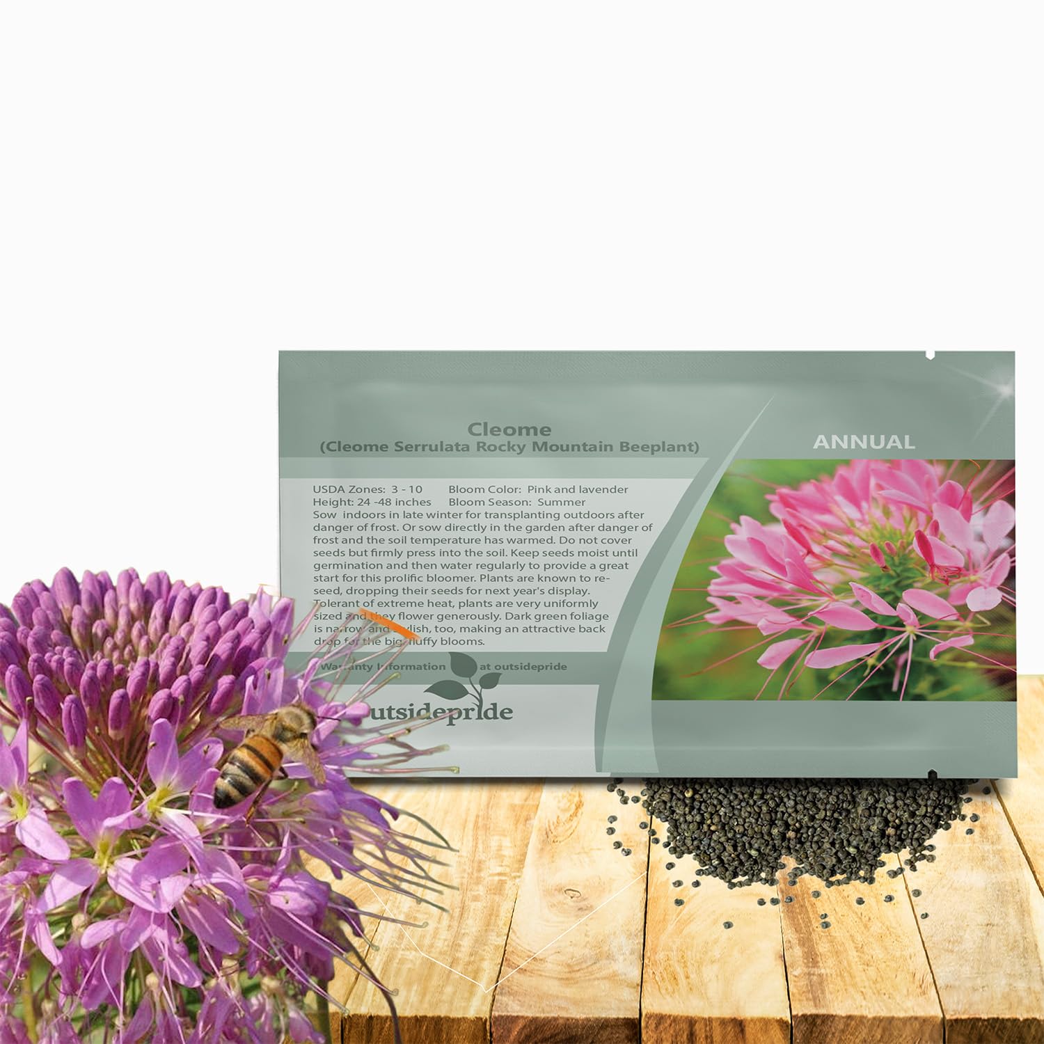 Outsidepride Serrulata Cleome Seeds - 2000 Pcs Annual Flower Seeds with Large, Airy, Spidery Blooms, Drought Tolerant Spider Plant for Xeriscaping,