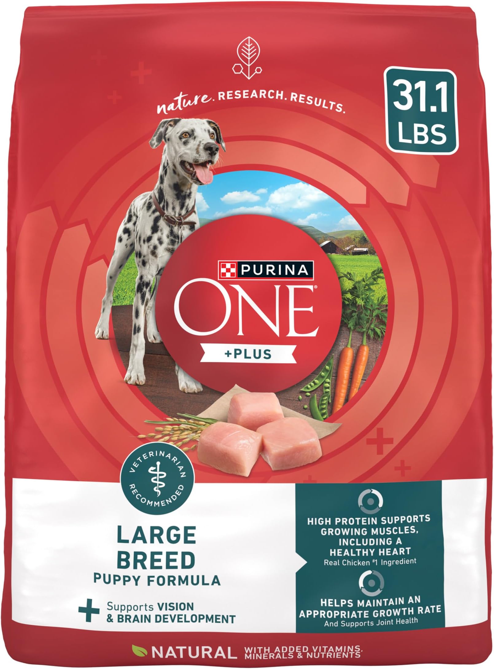 Plus Puppy Dry Dog Food for Large Dogs High Protein Growth Support, Real Chicken - 31.1 lb Bag