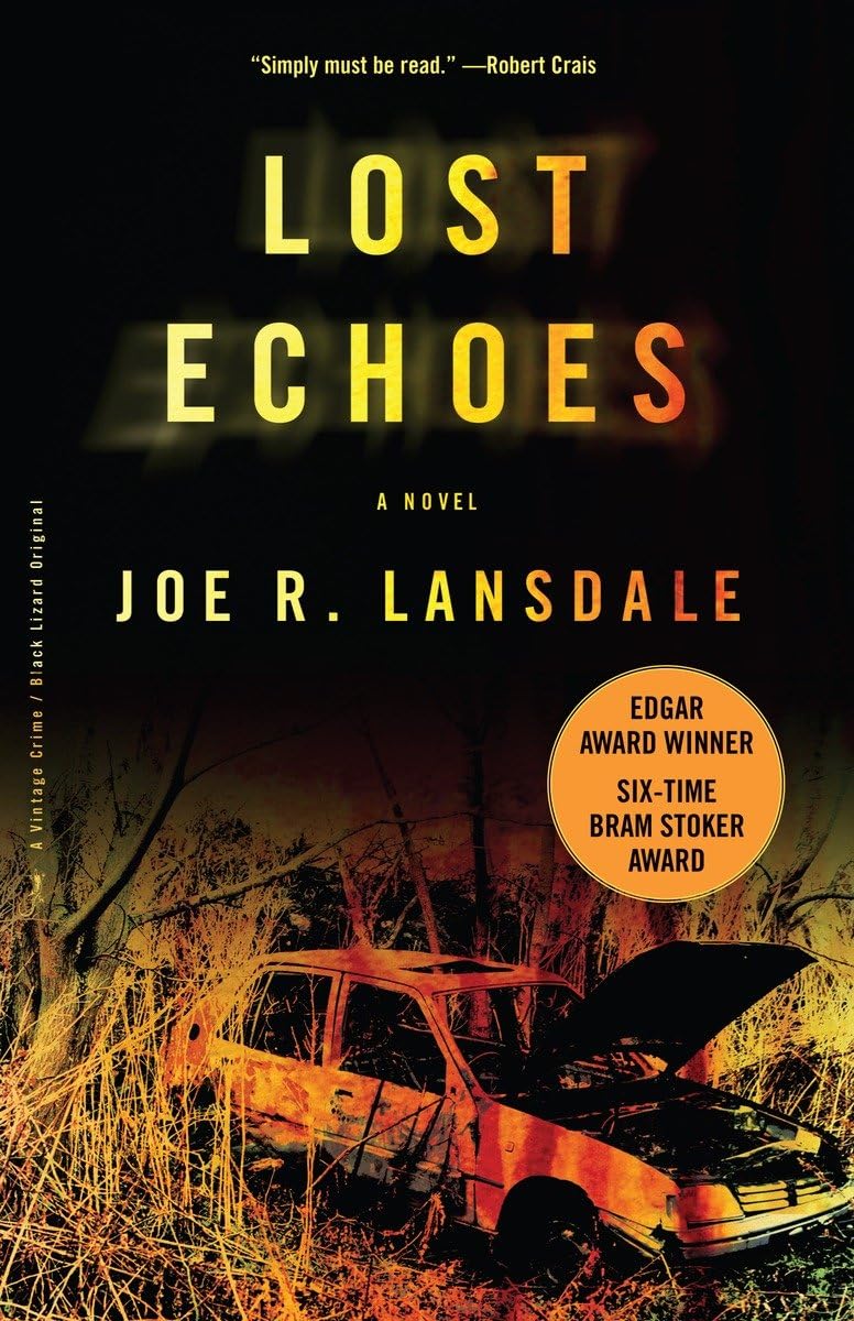 Lost Echoes: A Novel (Vintage Crime/Black Lizard)