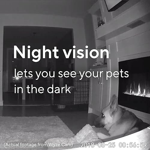 Miniatura 3 de WYZECam V2 Cámara de monitoreo de mascotas, cámara de seguridad para el hogar interior para perros y gatos, guardería, monitor de bebé anciano,