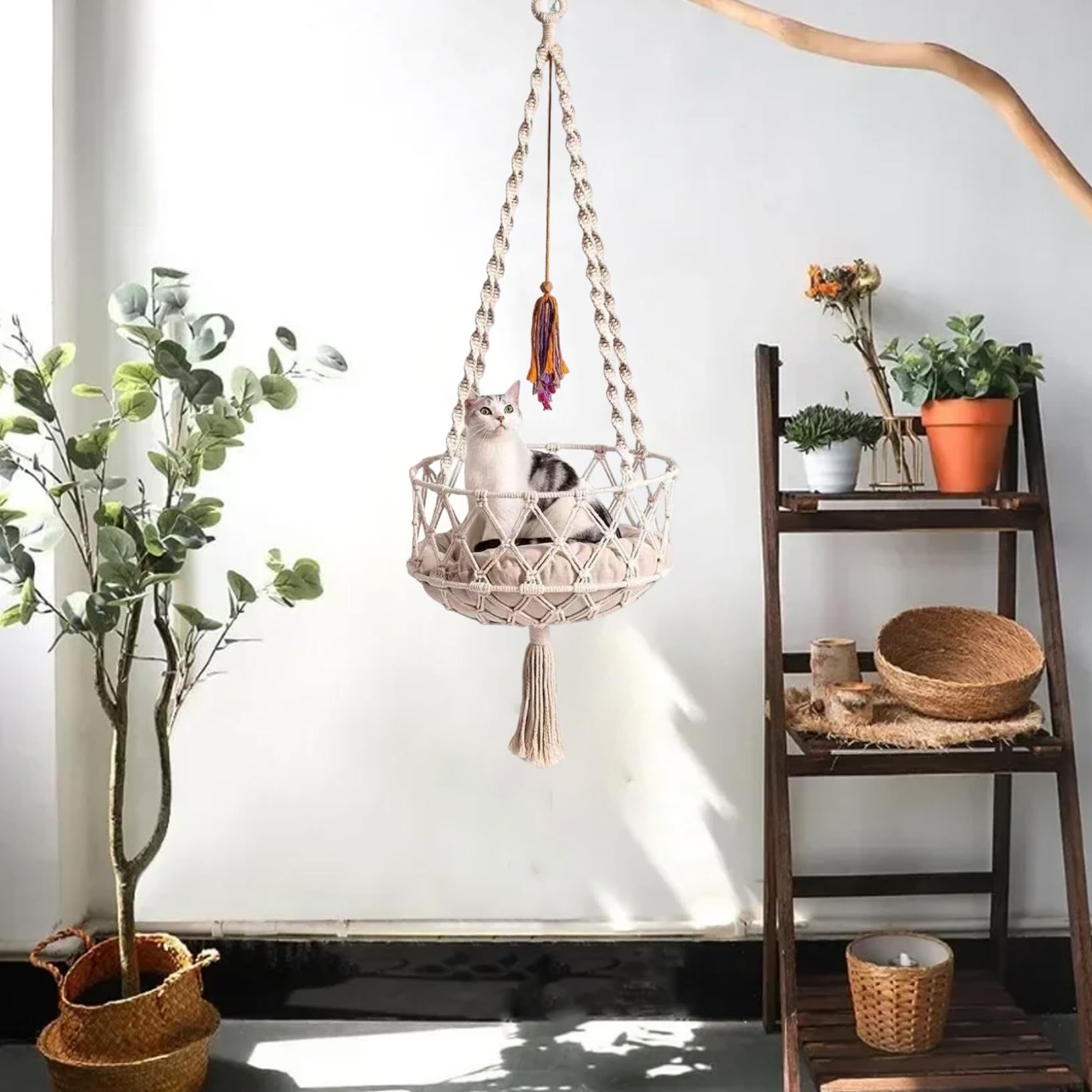 Katzenschwung 49 Zoll Hanges Katzenbett mit Baumwollmatte Boho -Katze Hängematte mit Quasten Platz sparsamer Katzenbett zum Schlafen und Lautstärken von Katzenfenster Hängematte Katze Hängematte Bedc
