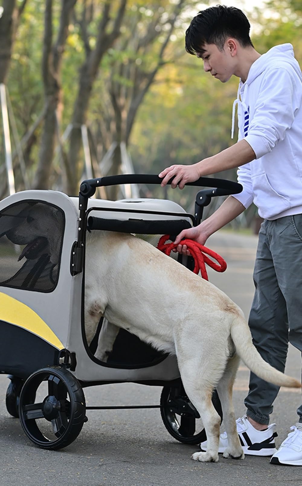 Passeggino per Cani Gatti Borsa Da Trasporto per Cani Pieghevole Carico 60 Kg Carrello Con 5 Finestre A Rete Animali Domestici per Cani Di Medi E Grandi Che Viaggiano