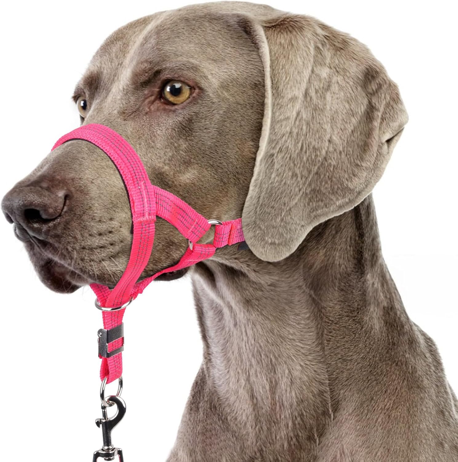 BARKLESS Sturdy No Pull Head Collar for Medium Large Dogs, Gentle Reflective Head Halter with Safety Link, Adjustable Nylon Dog Training Muzzle Leash for Walking Control (Hot Pink, XL) Hot Pink XL(Snout 10¼”-13”) - Image 1 of 8