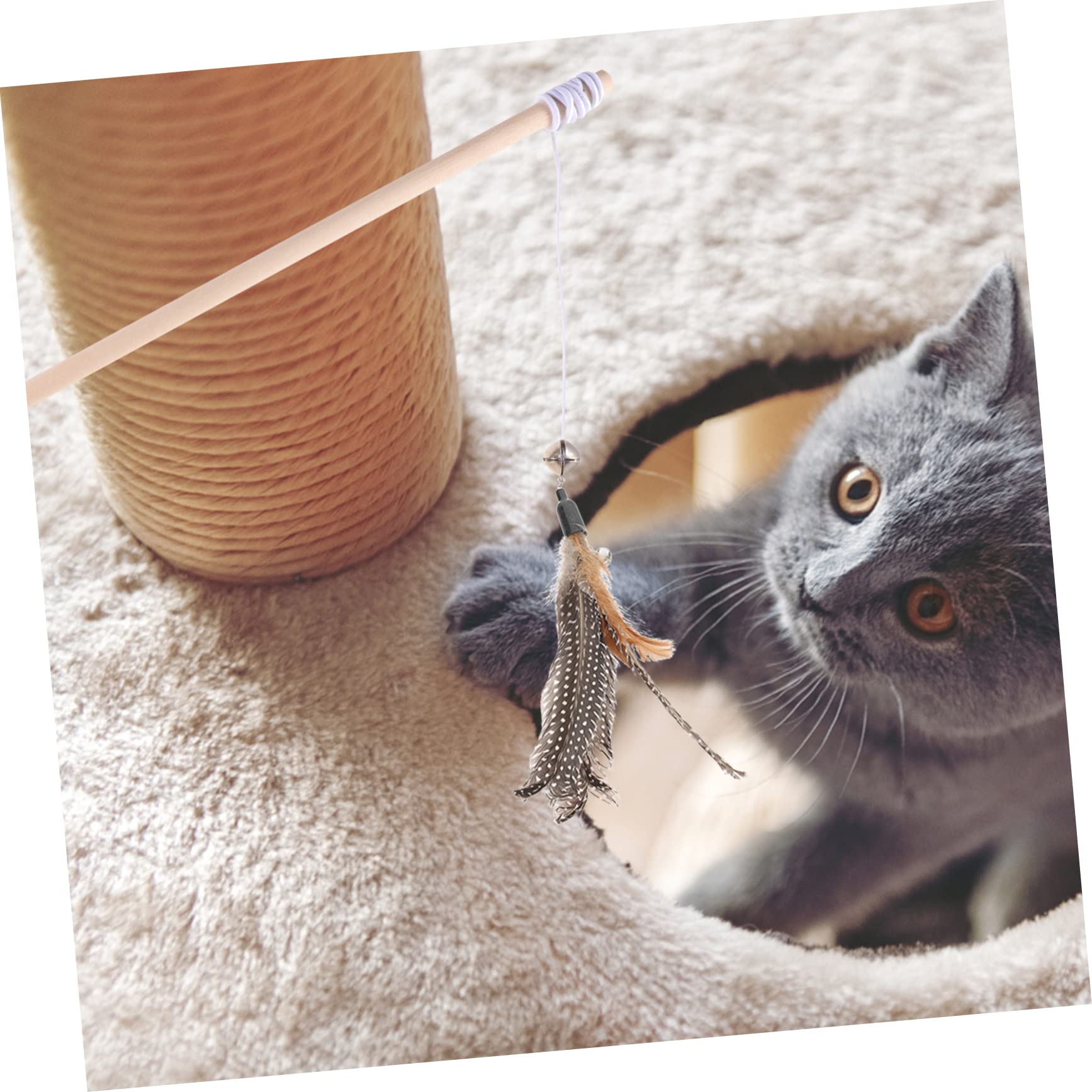 BESPORTBLE 32 Pièces Recharge Chat Teaser Chat Jouet interactif Jouet pour Chat Interactive Cat Toy Jeux pour Chat Baguettes de Chat Remplacement des Baguettes Teaser Chat la Plume